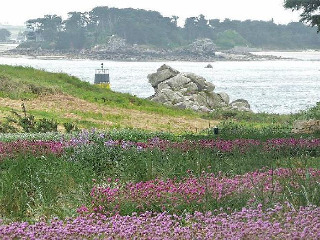 131 Ile de Batz Jardin Georges Delaselle_000034.jpg